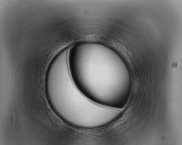 X0000098080673200804040752