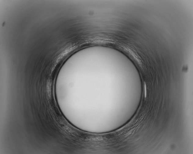 X0000098080675200804040752