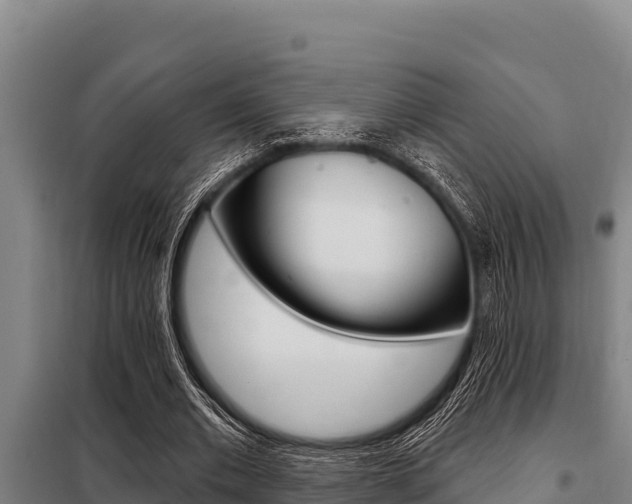 X0000098080677200804040751