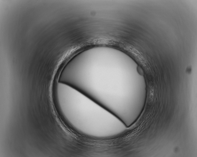 X0000098080678200804040751