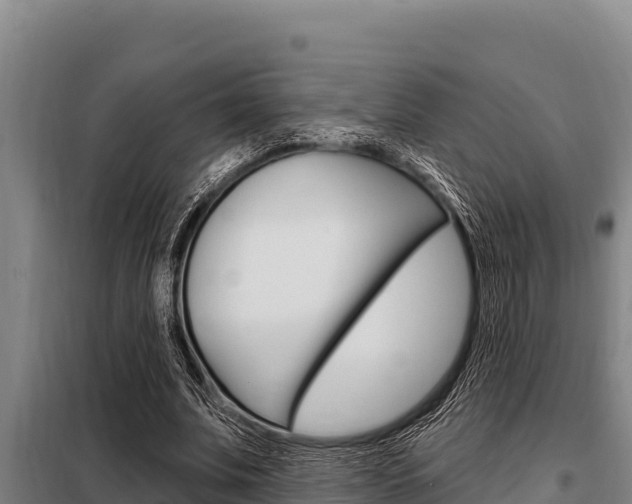 X0000098080679200804040751