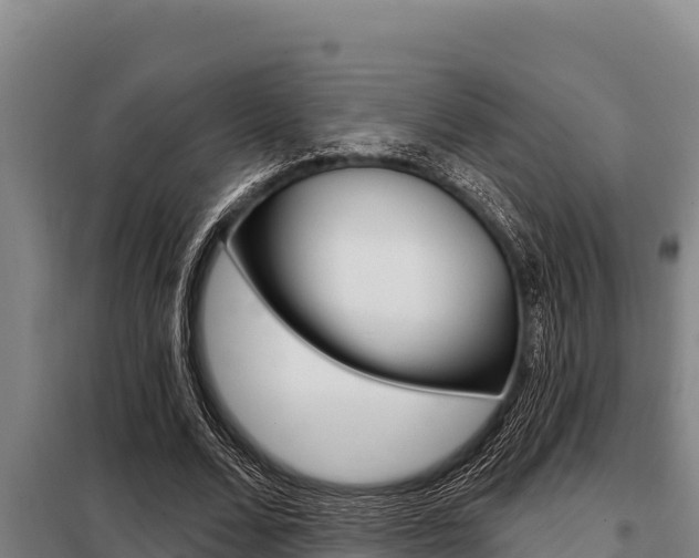 X0000098080680200804040751