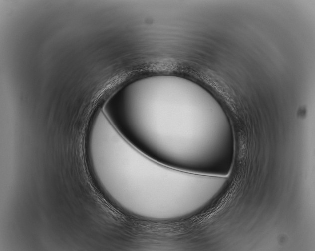 X0000098080681200804040751