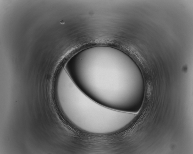 X0000098080684200804040751