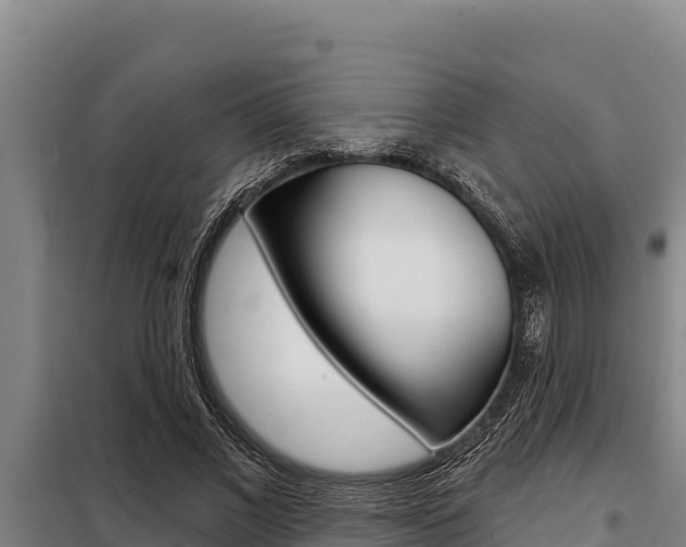 X0000098080685200804040751