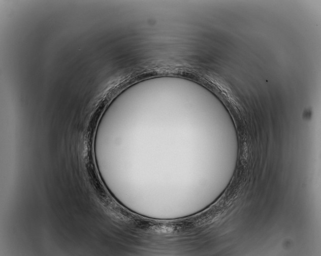 X0000098080687200804040751