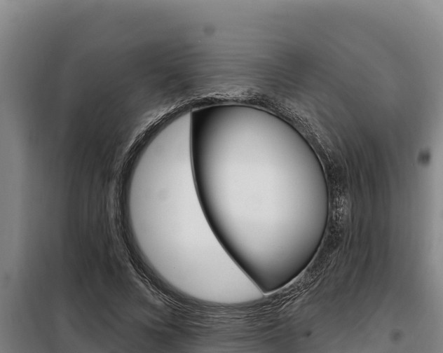 X0000098080688200804040751