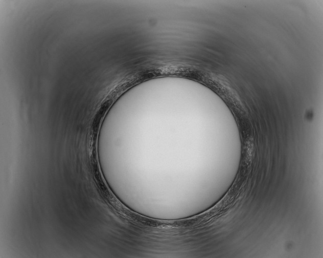 X0000098080691200804040751