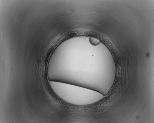 X0000098080694200804040751