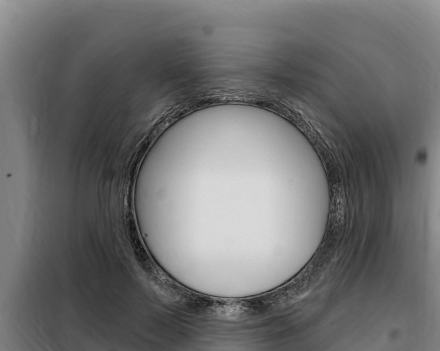 X0000098080695200804040751