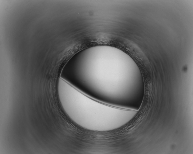 X0000098080697200804040751