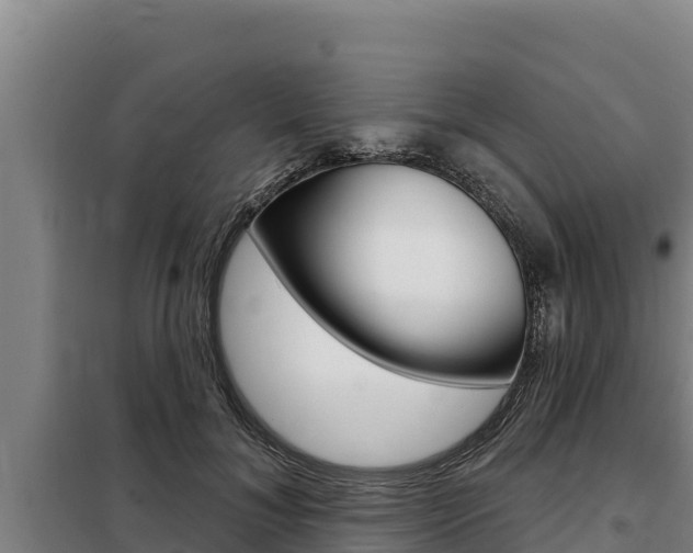 X0000098080700200804040751