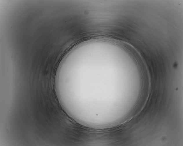 X0000098080701200804040751