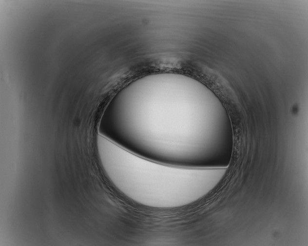 X0000098080704200804040751