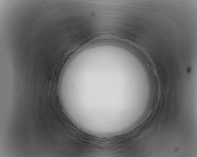 X0000098080705200804040751