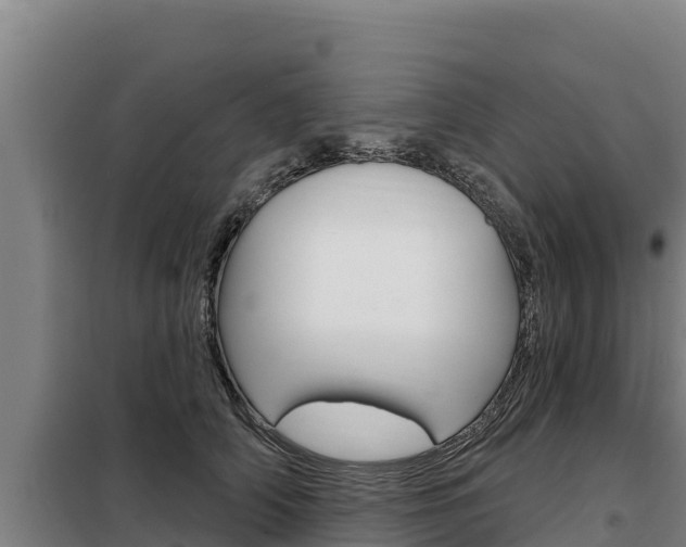 X0000098080706200804040751