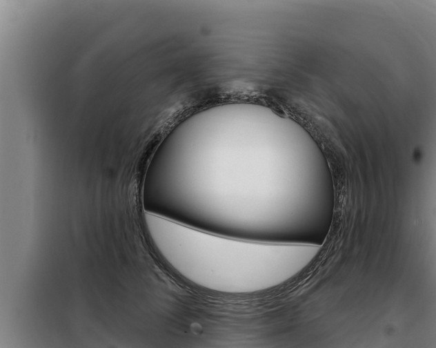 X0000098080708200804040751