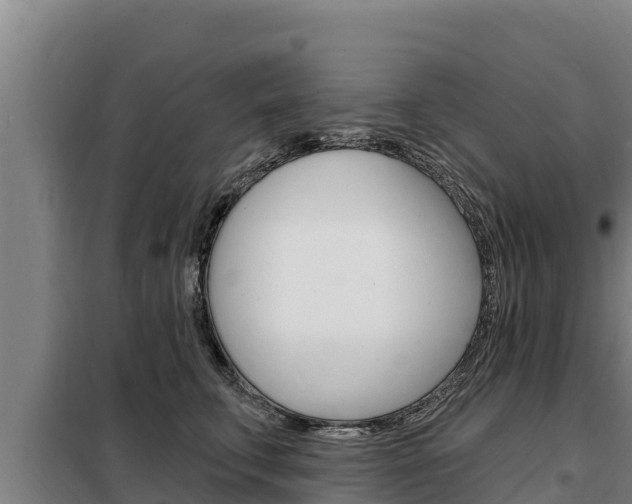 X0000098080711200804040751