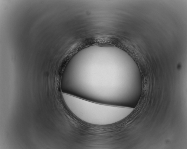 X0000098080712200804040751