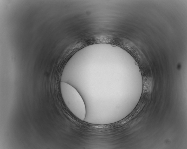 X0000098080713200804040751