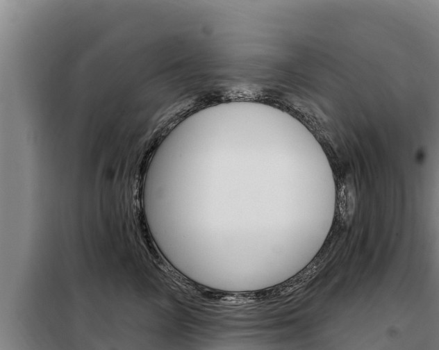X0000098080714200804040751