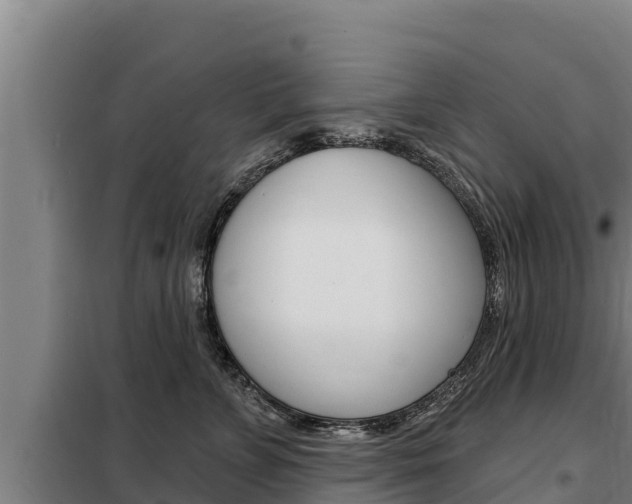 X0000098080715200804040751