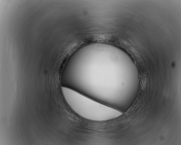X0000098080716200804040751