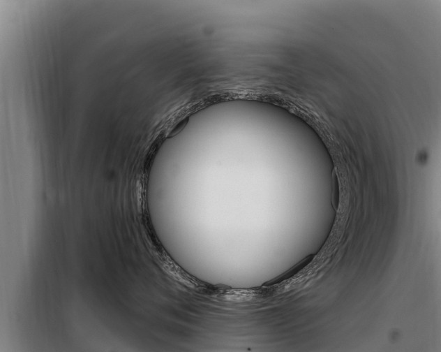 X0000098080720200804040751