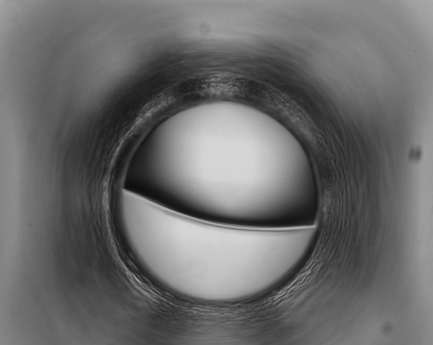 X0000098080722200804040750