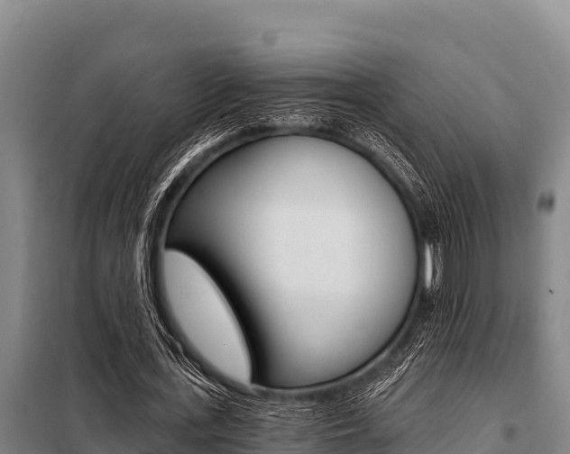 X0000098080723200804040750