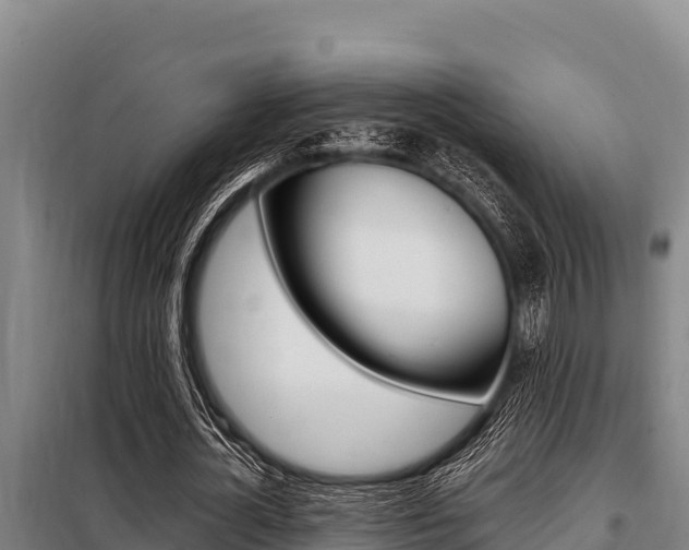 X0000098080724200804040750
