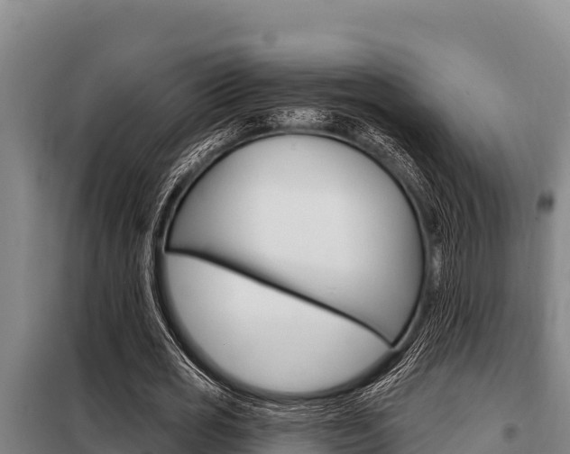 X0000098080725200804040750
