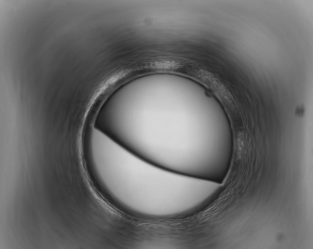X0000098080726200804040750