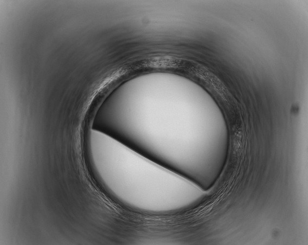 X0000098080727200804040750