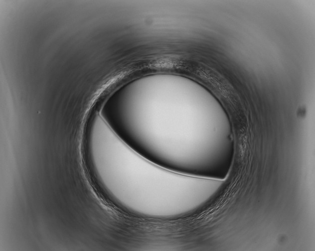 X0000098080728200804040750
