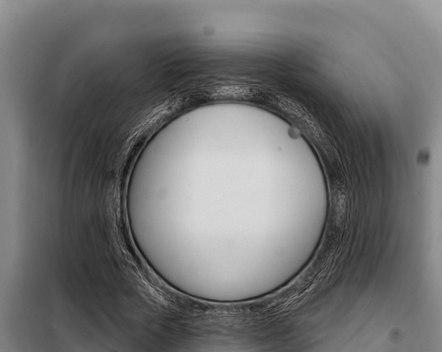X0000098080729200804040750