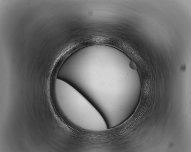 X0000098080730200804040750