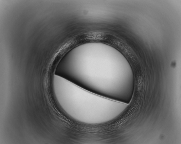 X0000098080731200804040750