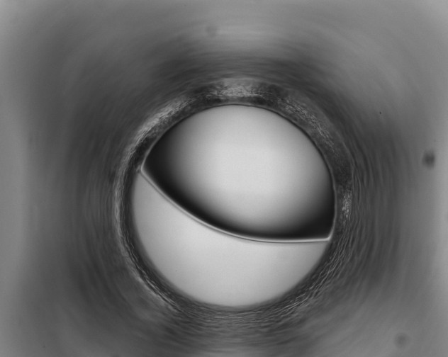 X0000098080732200804040750