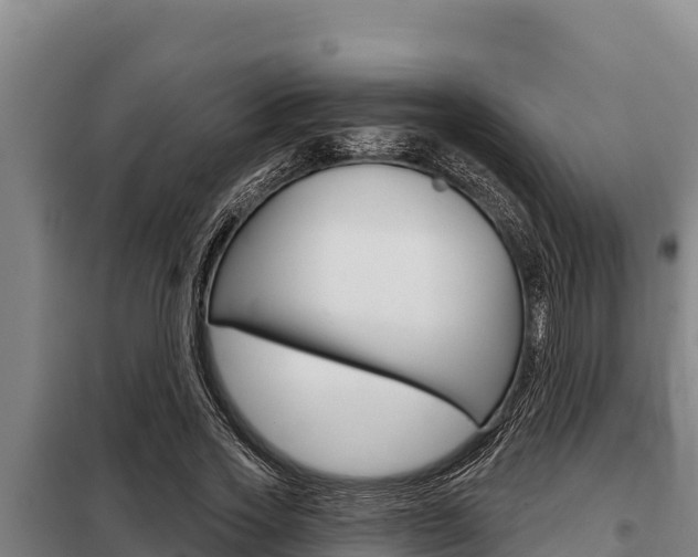 X0000098080733200804040750