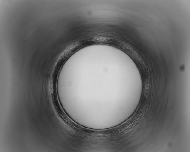 X0000098080734200804040750