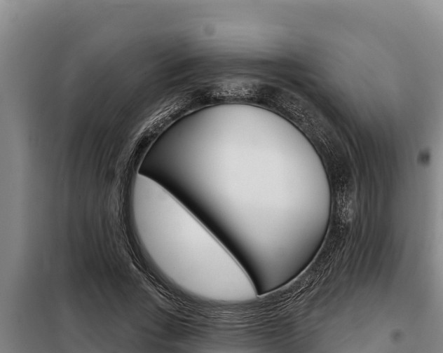 X0000098080735200804040750