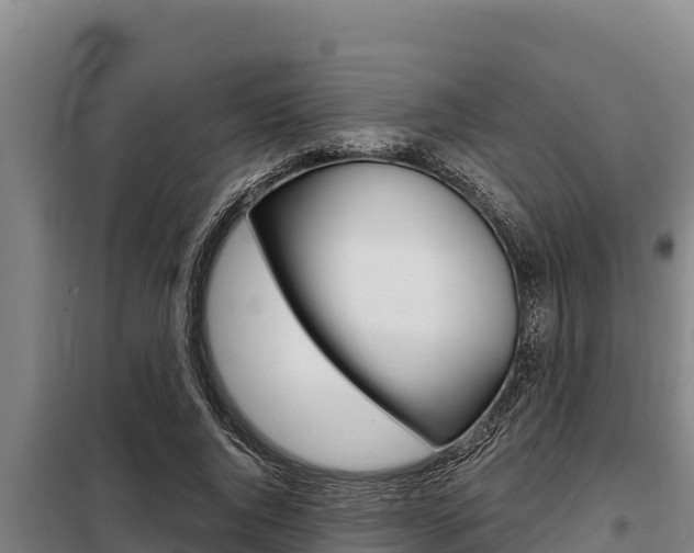 X0000098080736200804040750
