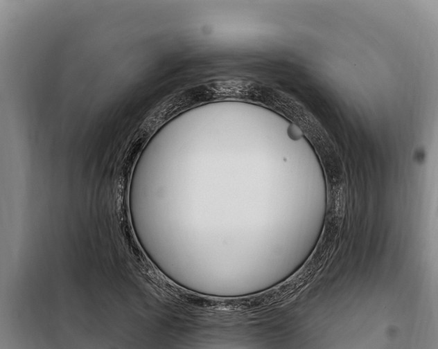 X0000098080737200804040750