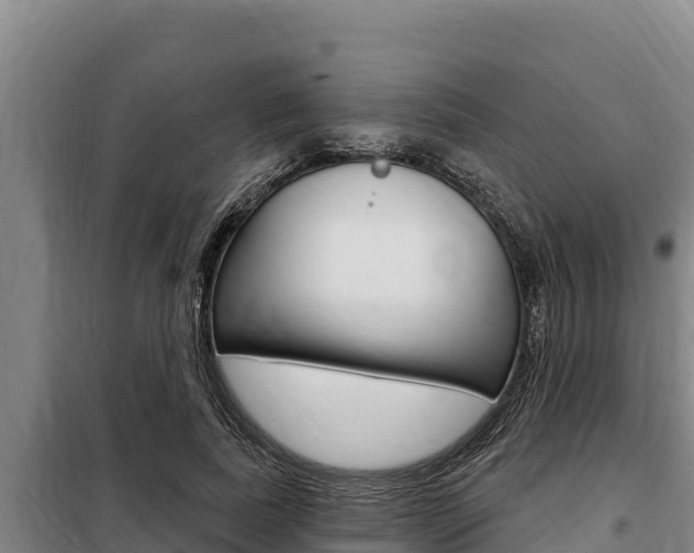 X0000098080739200804040750