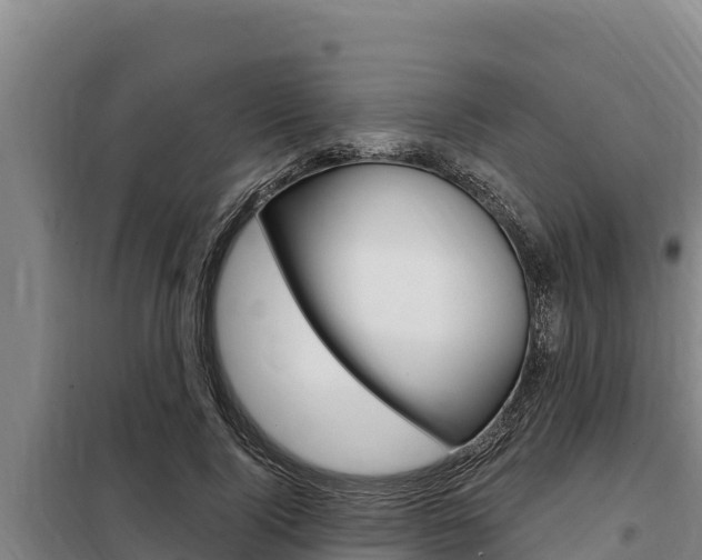 X0000098080740200804040750