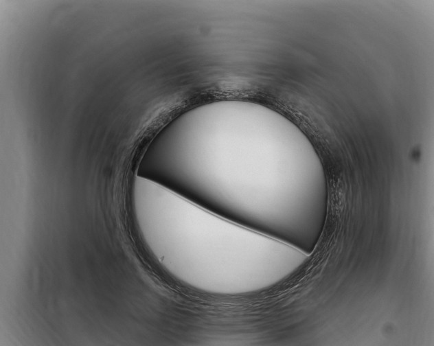 X0000098080742200804040751