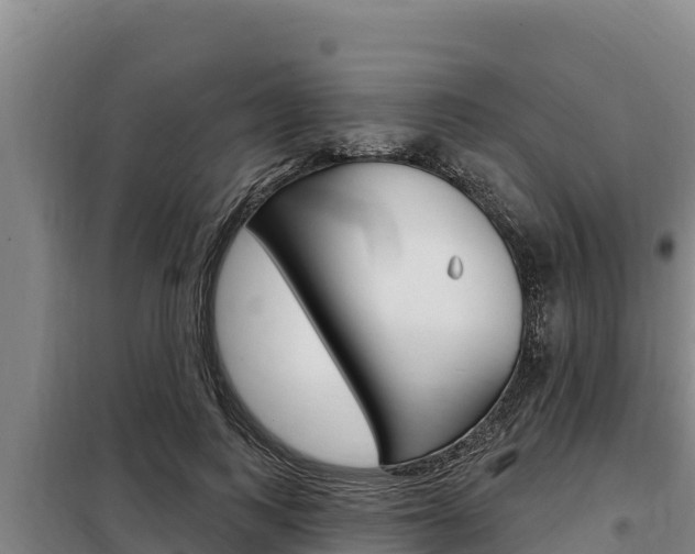 X0000098080743200804040751