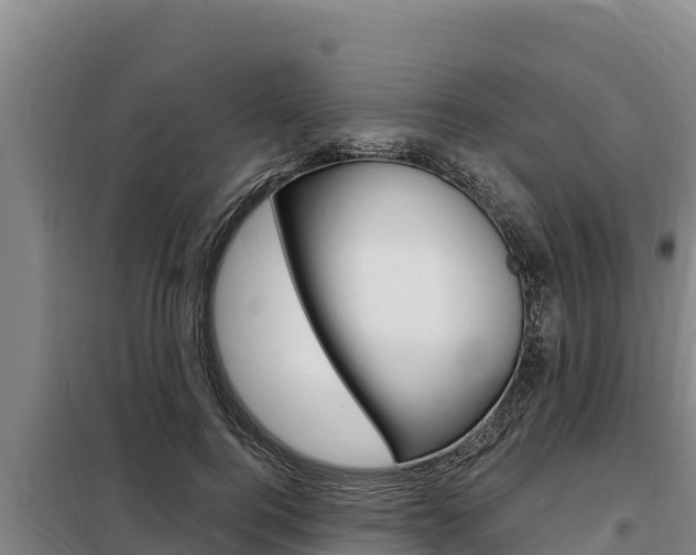 X0000098080744200804040751