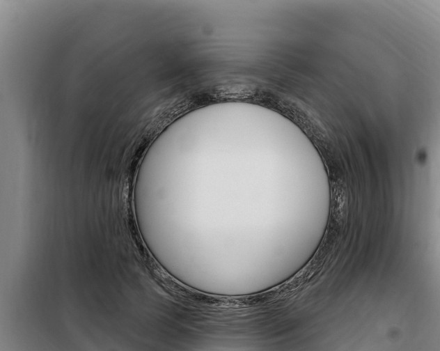 X0000098080745200804040751